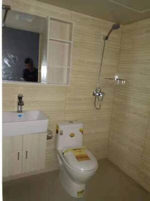 Αδιάβροχο Σετ Τοίχου Μπάνιου SMC Ολοκληρωμένο Χυτό Πάνελ Τοίχου Μπάνιου από SMC