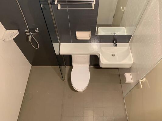 one-piece molded SMC vanity basin  lightweight durable SMC washbasin